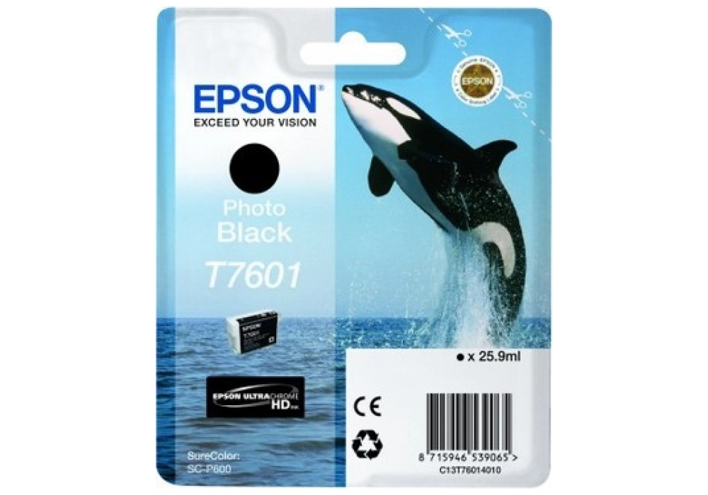 Epson Ink Cartridge T7601 - Photo Black
