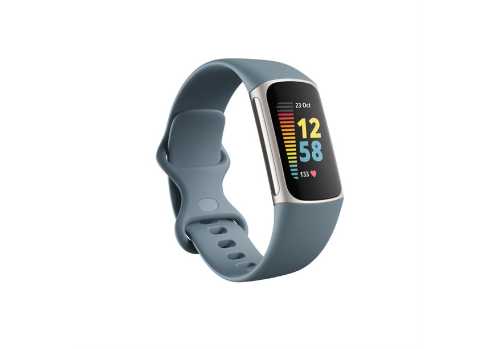 Fitbit Charge 5 (Blue gray/platinum)