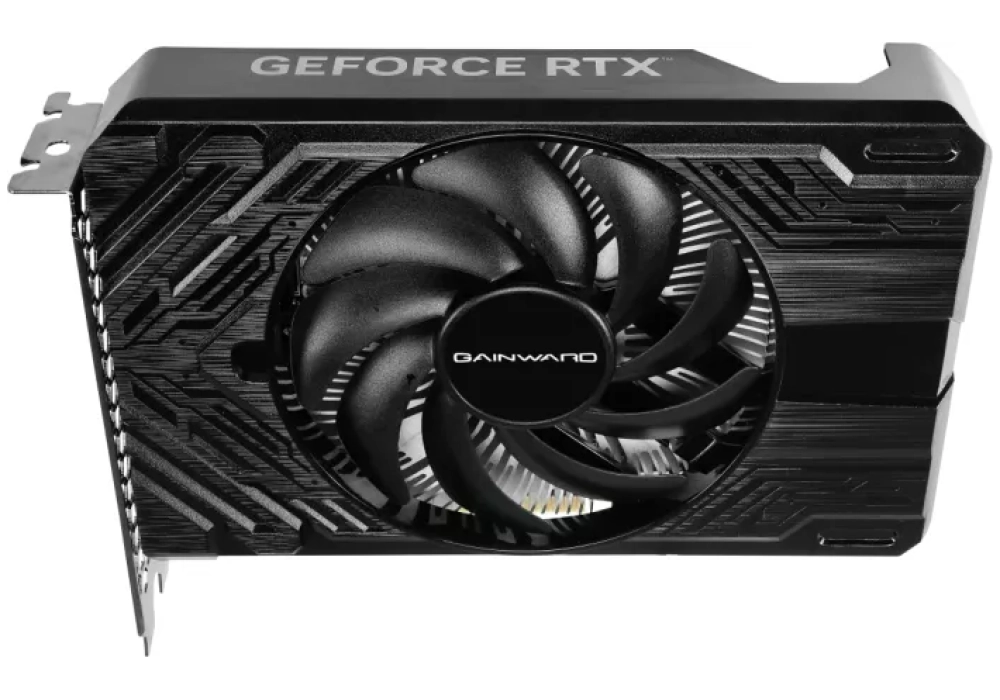 Gainward GeForce RTX 4060 Pegasus