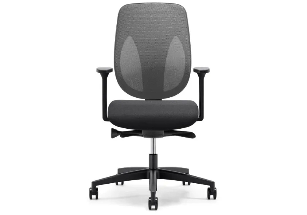 Giroflex Chaise de bureau 353-4029-G501 (Anthracite)
