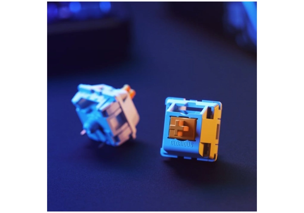 Glorious Panda Switches unlubed (36 pièces)