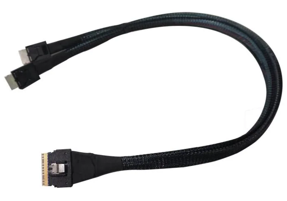 Highpoint Câble SAS SFF-8654 - 2x SFF-8611 50 cm