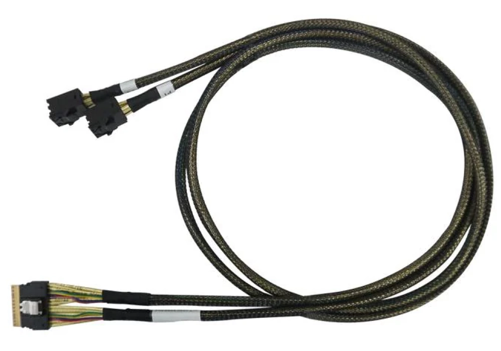 Highpoint Câble SAS SFF-8654 - 2x SFF-8643 100 cm