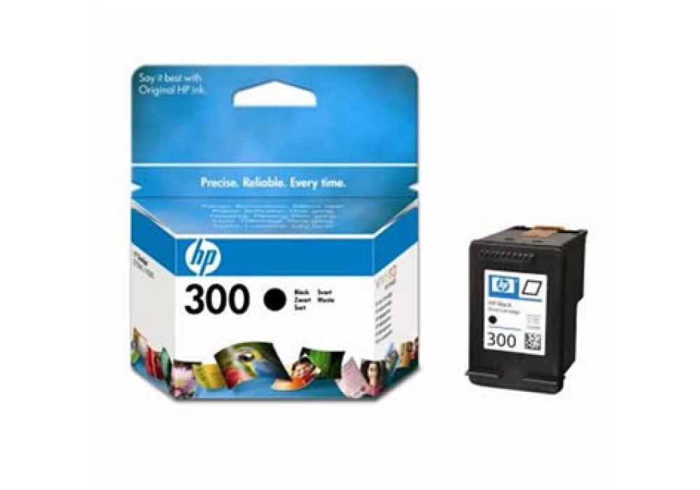 HP 300 Inkjet Cartridge - Black