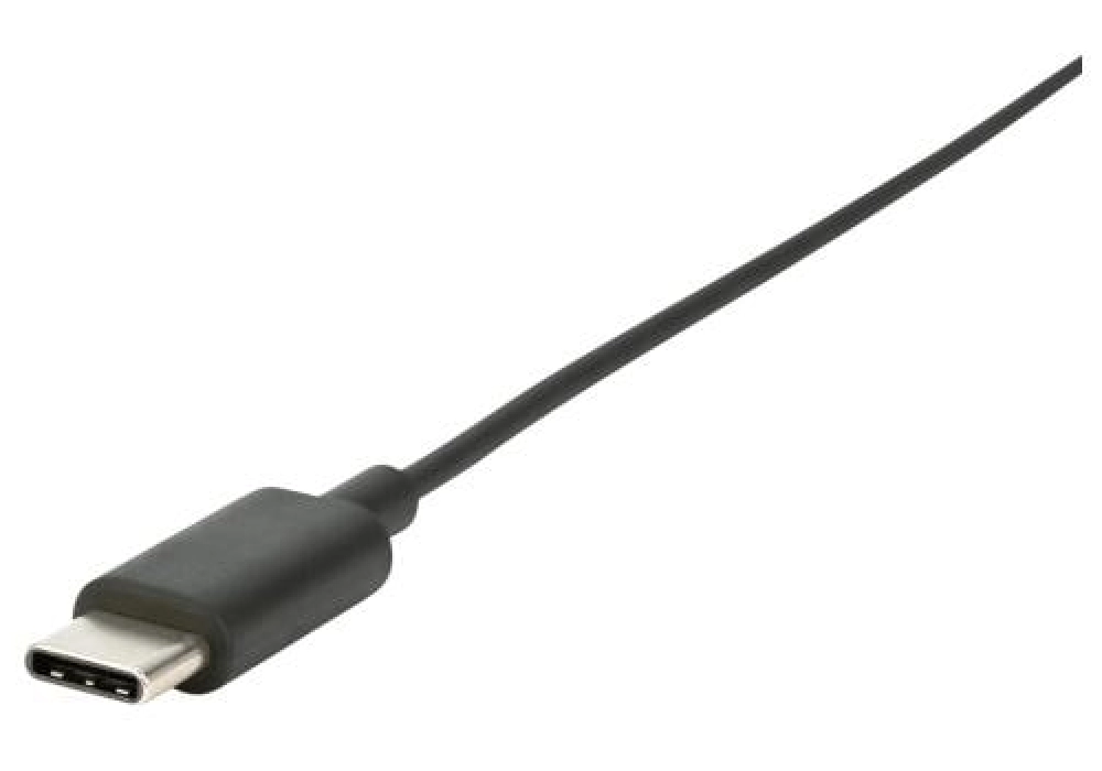 Jabra Evolve 40 Mono MS USB-C (Black)