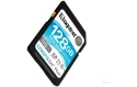 Kingston Canvas Go! Plus SDHC Class 10 UHS-I Card - 128 GB
