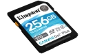 Kingston Canvas Go! Plus SDHC Class 10 UHS-I Card - 256 GB