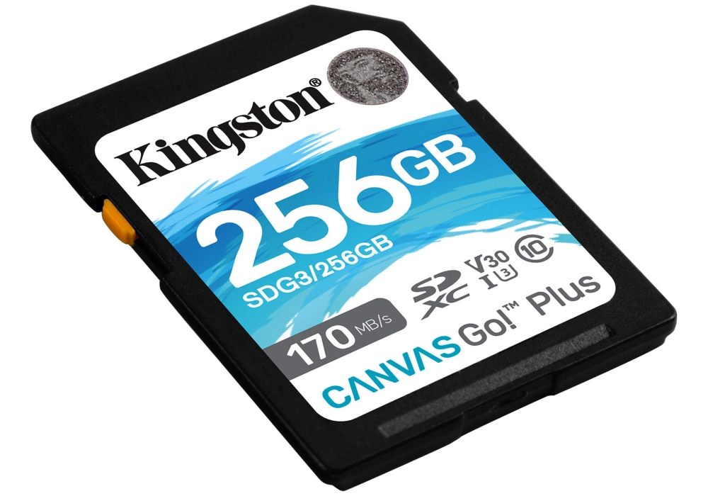 Kingston Canvas Go! Plus SDHC Class 10 UHS-I Card - 256 GB