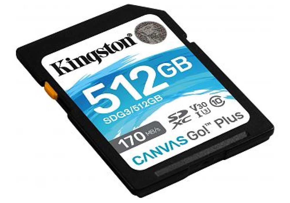 Kingston Canvas Go! Plus SDHC Class 10 UHS-I Card - 512 GB