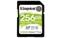 Kingston Canvas Select Plus SDHC Class 10 UHS-I Card - 256 GB