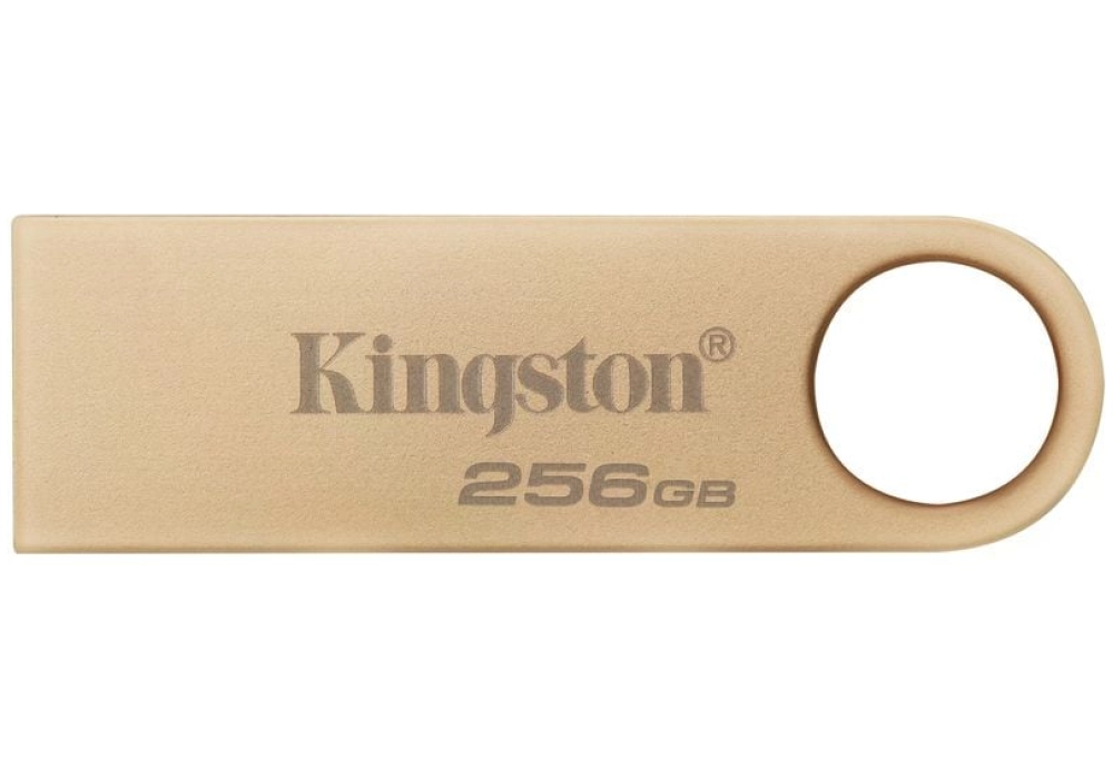 Kingston Clé USB DataTraveler SE9 G3 256 GB