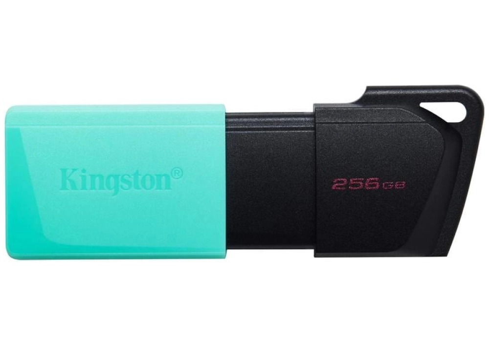 Kingston DataTraveler Exodia M - 256 GB (Bleu vert)