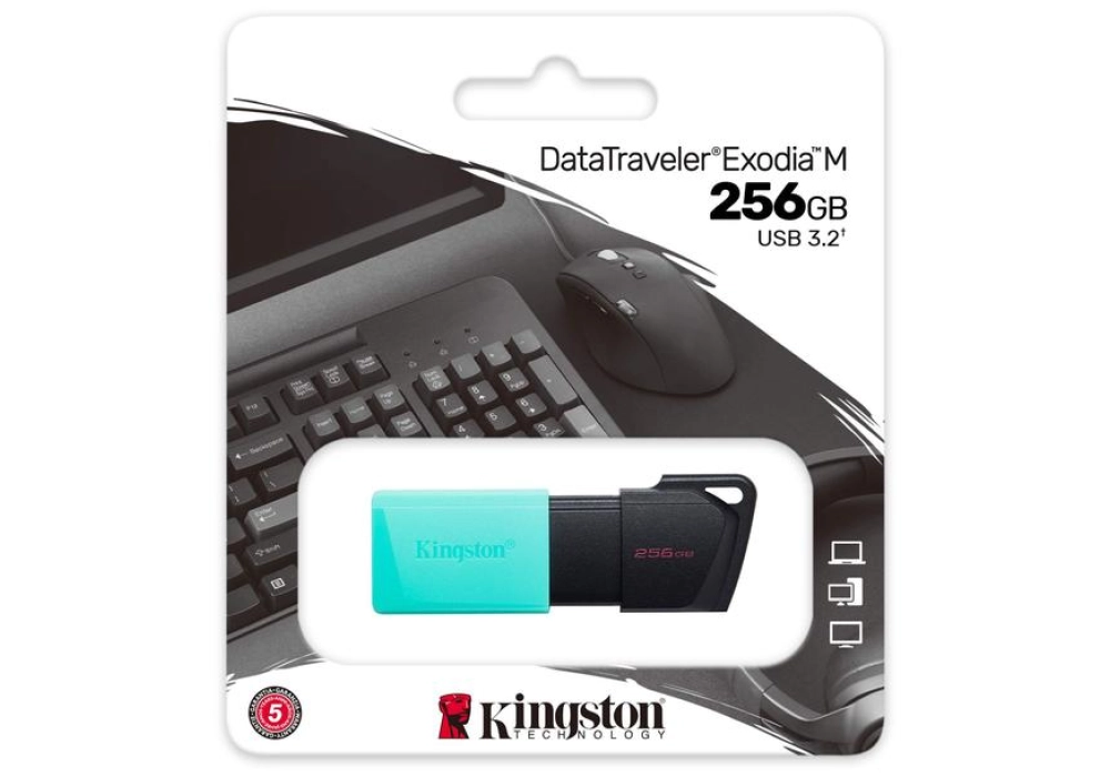 Kingston DataTraveler Exodia M - 256 GB (Bleu vert)