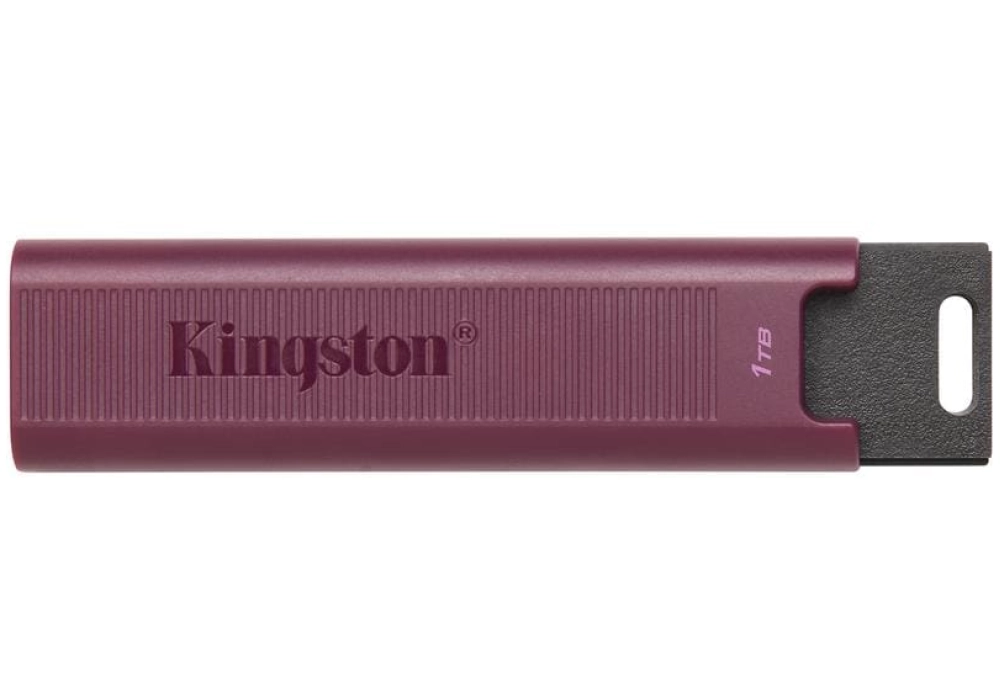 Kingston DataTraveler Max - 1 TB
