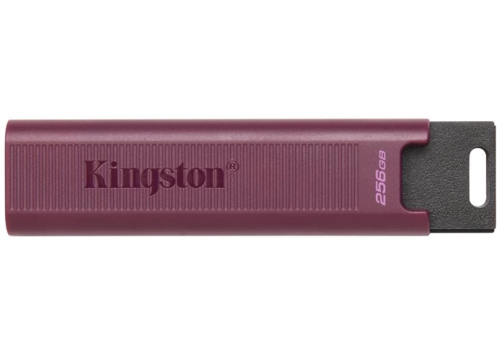Kingston DataTraveler Max - 256 GB
