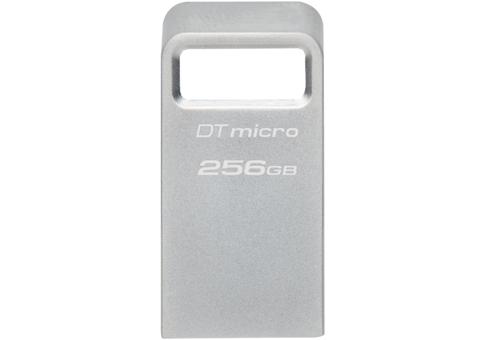 Kingston DataTraveler Micro G2 - 256 GB