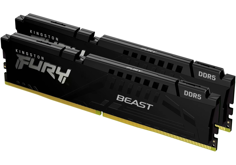 Kingston DDR5-RAM FURY Beast EXPO 6000 MHz 2x 8 GB