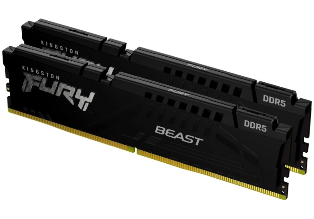Kingston FURY Beast DDR5-5200 - 16GB (2x 8GB - CL36 EXPO)