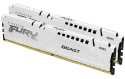 Kingston FURY Beast DDR5-5200 - 64GB (4x 16GB CL40)