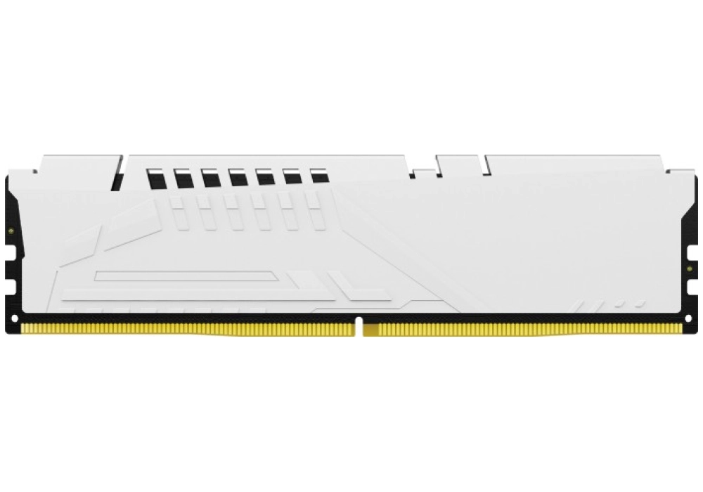 Kingston FURY Beast DDR5-5200 - 64GB (4x 16GB CL40)