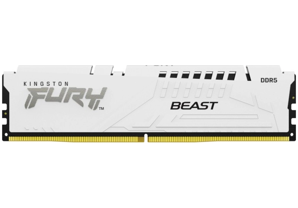 Kingston FURY Beast DDR5-5600 - 128GB (4x 32GB - CL40)
