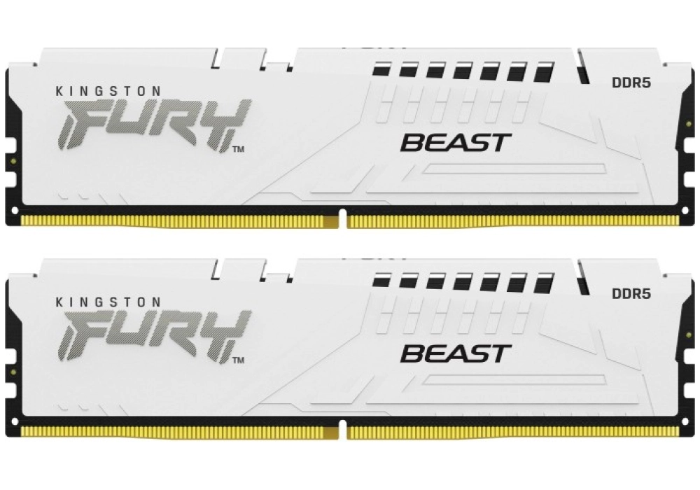 Kingston FURY Beast DDR5-5600 - 64GB (4x 16GB CL40)