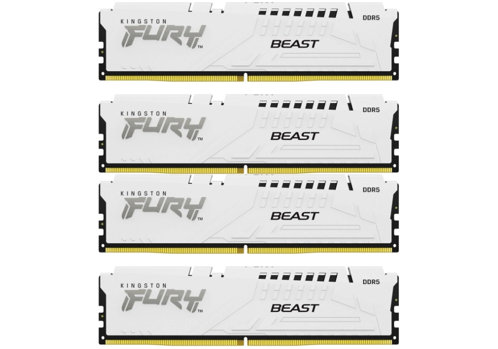 Kingston FURY Beast DDR5-5600 - 64GB (4x 16GB CL40)
