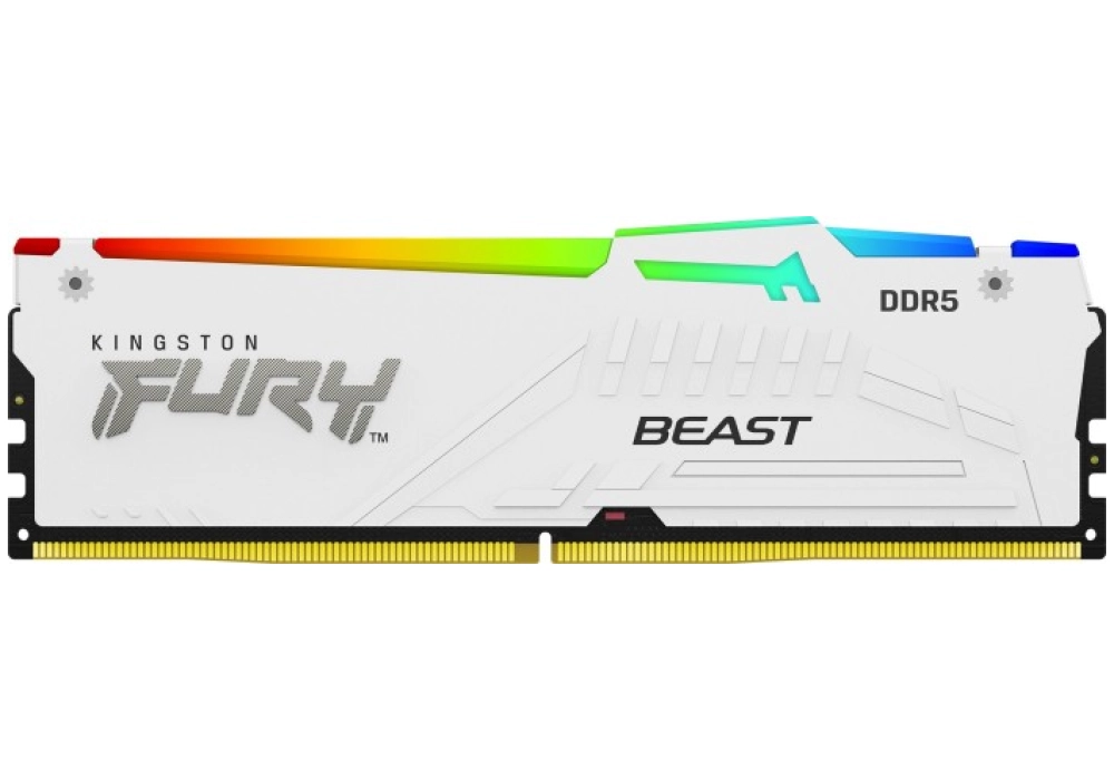 Kingston FURY Beast RGB DDR5-5200 - 64GB (4x 16GB CL40) 