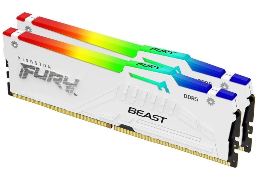 Kingston FURY Beast RGB DDR5-5600 - 64GB (4x 16GB CL40)