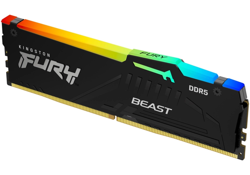 Kingston FURY Beast RGB DDR5-6000 - 16GB (CL36 EXPO)