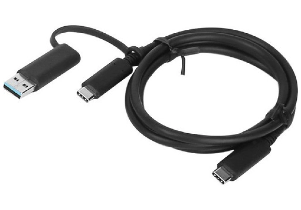 Lenovo Hybrid USB-C Cable with USB Type-A Adapter