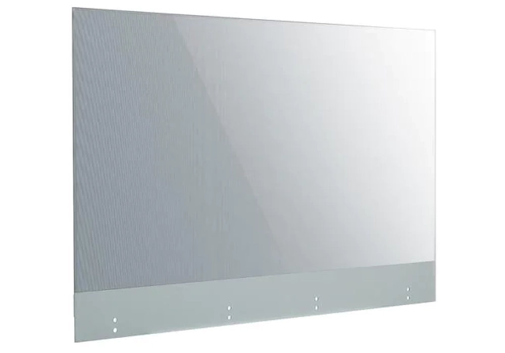LG OLED 55EW5G-V Transparent