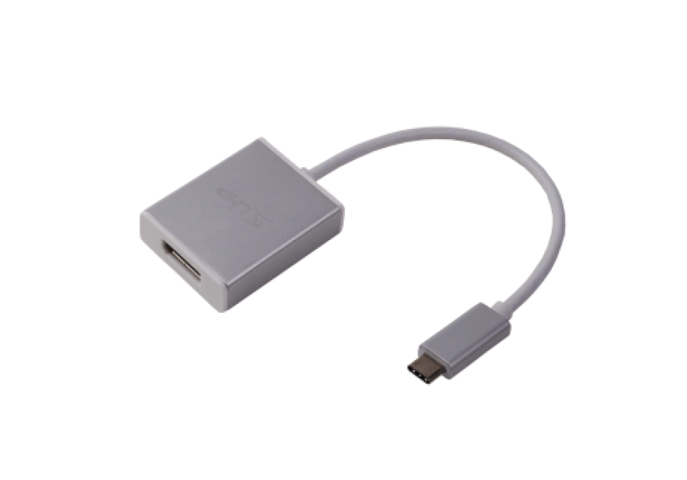 LMP USB-C to DisplayPort adapter (Silver)