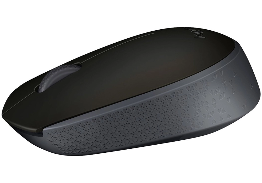 Logitech Wireless Mouse M171 - Noir