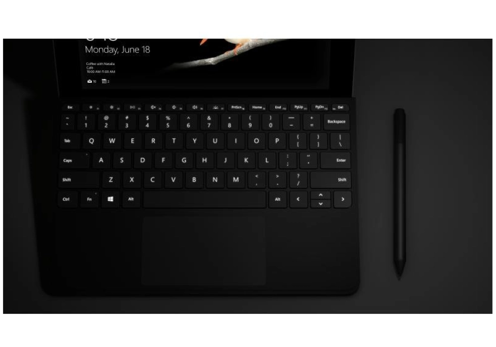 Microsoft Surface Go Type Cover (Noir - CH)