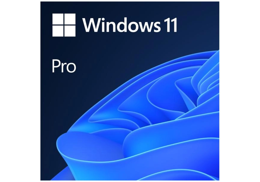 Microsoft Windows 11 Pro 64bit - EN (DVD) 