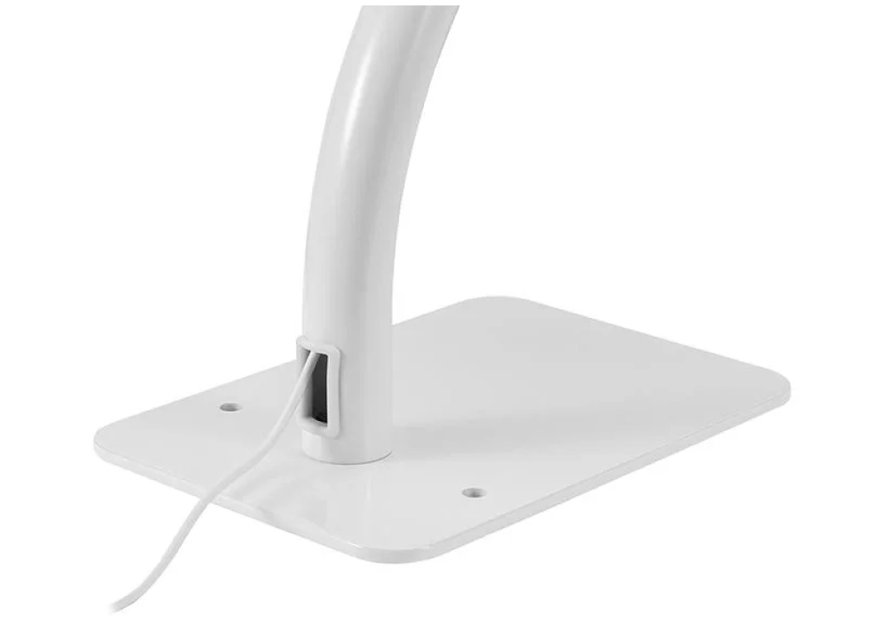 Neomounts by NewStar Pied de support DS15-625WH1 - Blanc