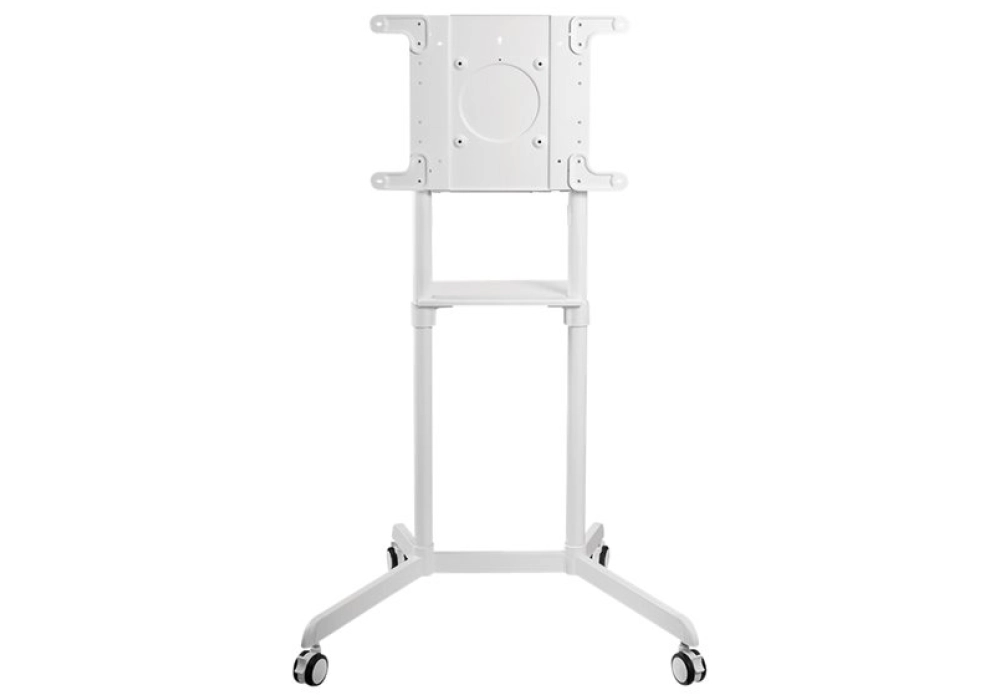 NewStar Mobile Flat Screen Floor Stand (White)