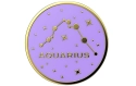 PopSockets Support Premium Aquarius