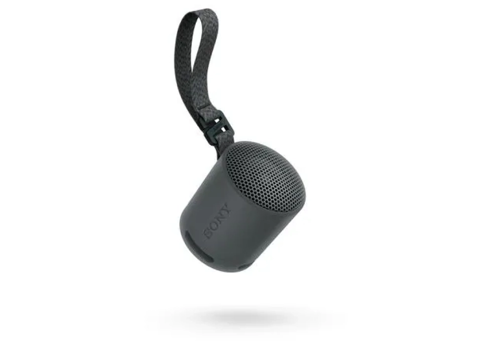 Sony Haut-parleur Bluetooth SRS-XB100 Noir