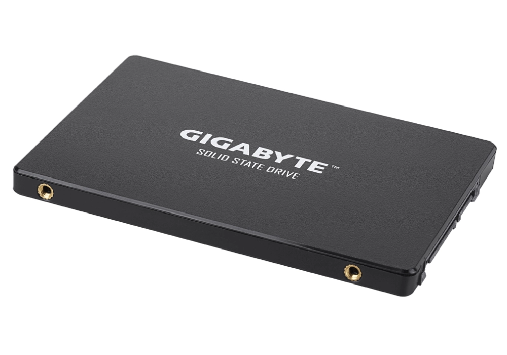 Gigabyte SSD SATA - 256 GB