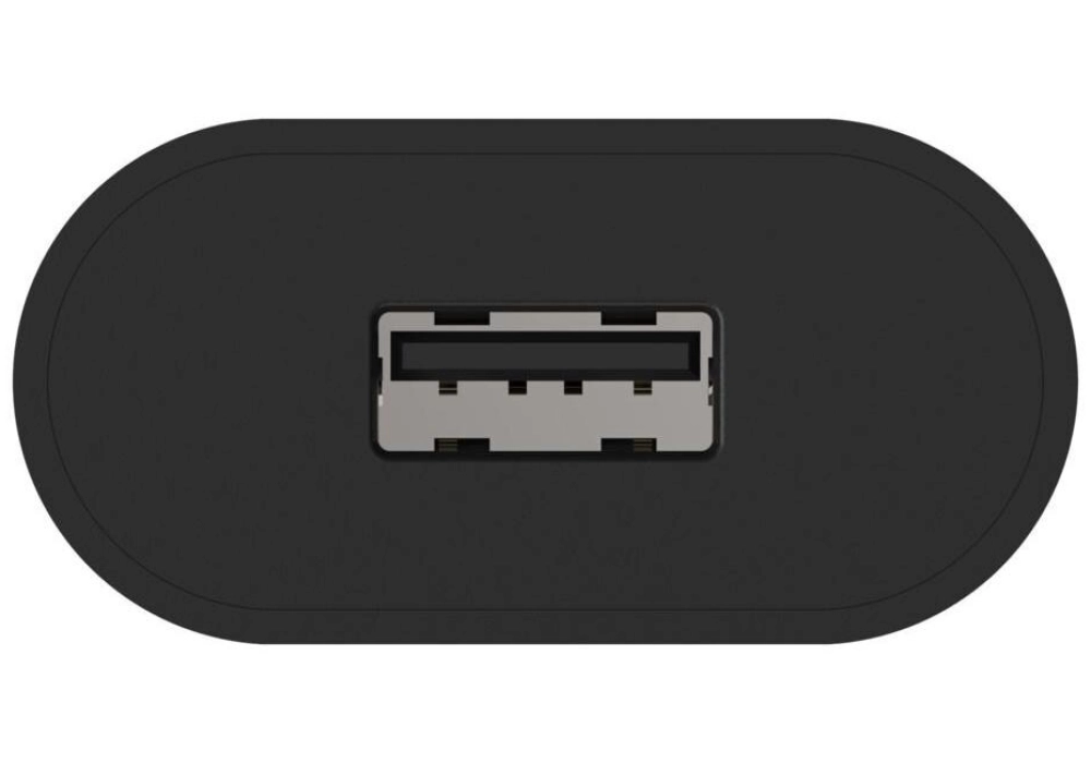 Ansmann Chargeur mural USB HC105 5W, 1x USB, noir