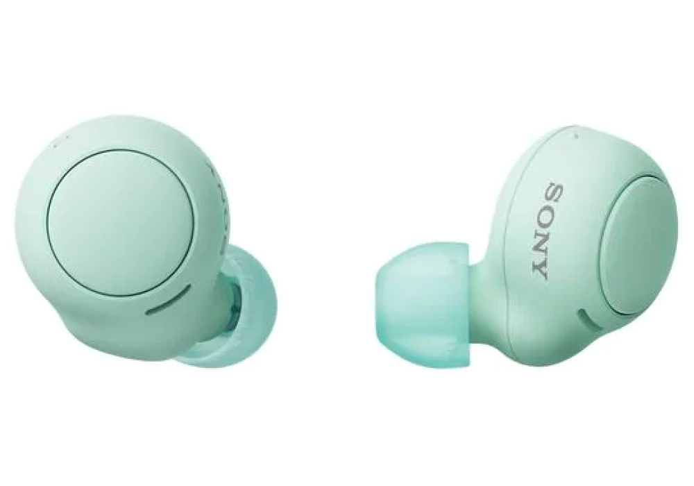 Sony Écouteurs True Wireless In-Ear WF-C500 Vert