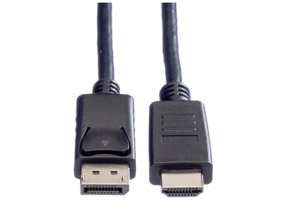 ROLINE DisplayPort / HDMI Cable - 1 m