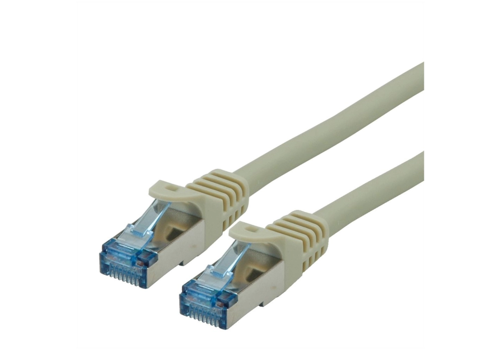 ROLINE Network Cable Cat 6a SFTP (Gris) - 0.5 m