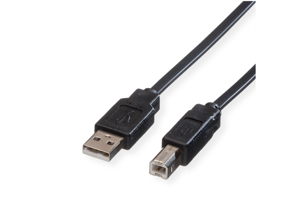 ROLINE USB 2.0 A/B Cable plât - 1.80 m (pour imprimante)