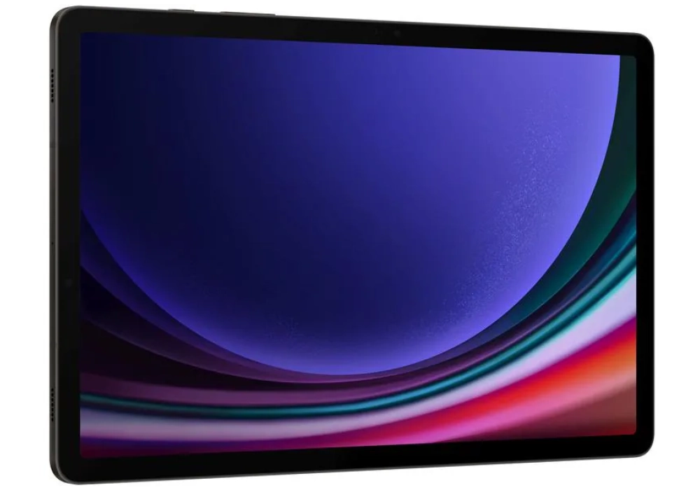 Samsung Galaxy Tab S9 128 GB CH Noir