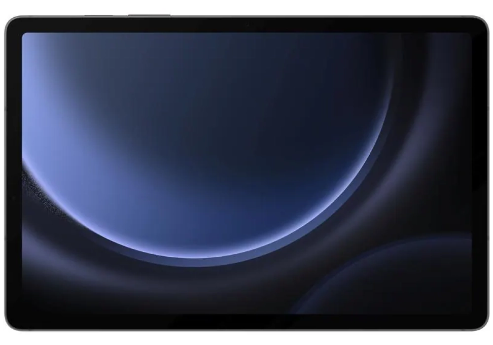 Samsung Galaxy Tab S9 FE 256 GB Gris