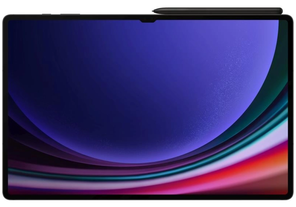 Samsung Galaxy Tab S9 Ultra 512 GB CH Noir