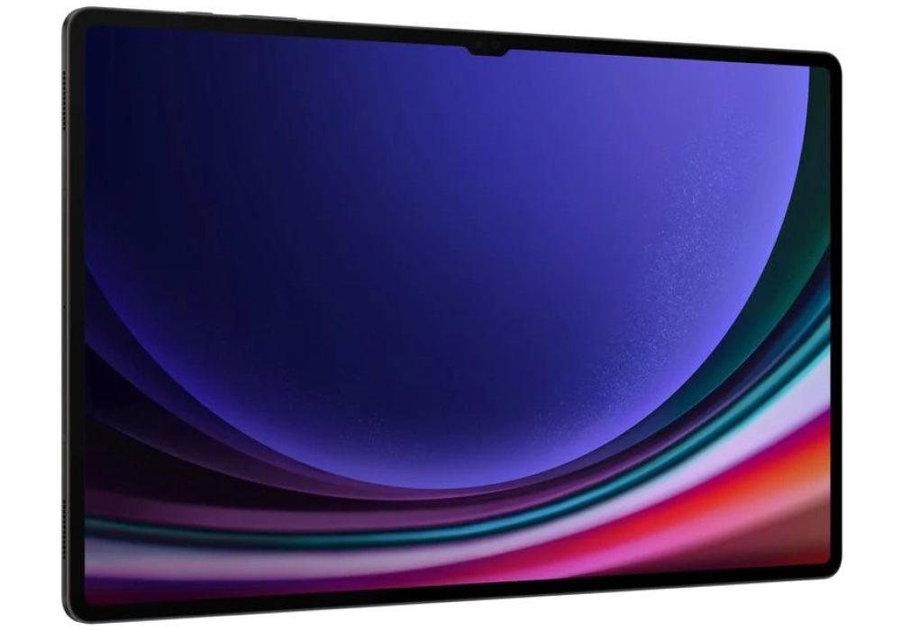 Samsung Galaxy Tab S9 Ultra 5G 256 GB CH Noir